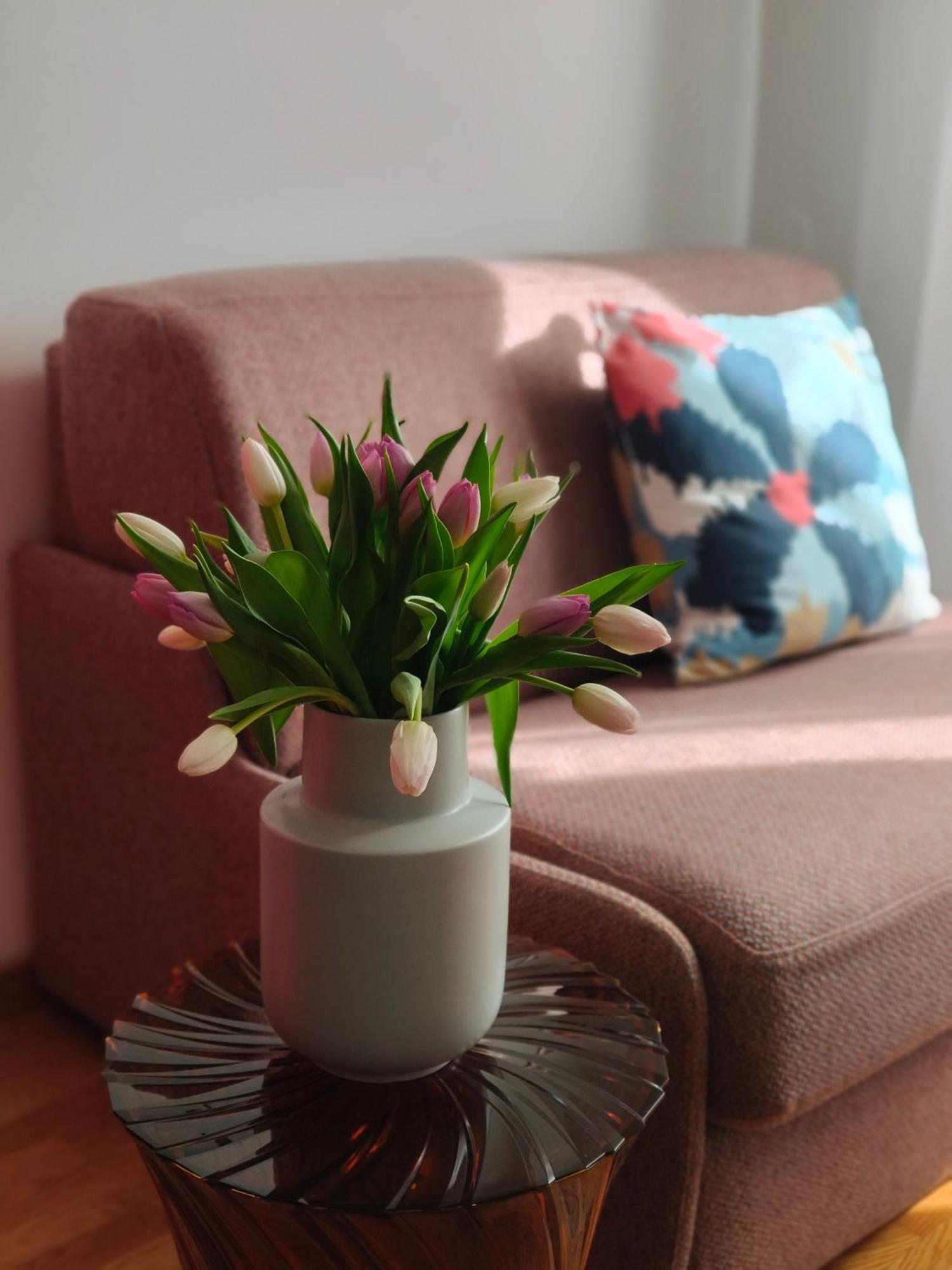 Fluere - Via Riva Reno Apartment โบโลญญา ภายนอก รูปภาพ